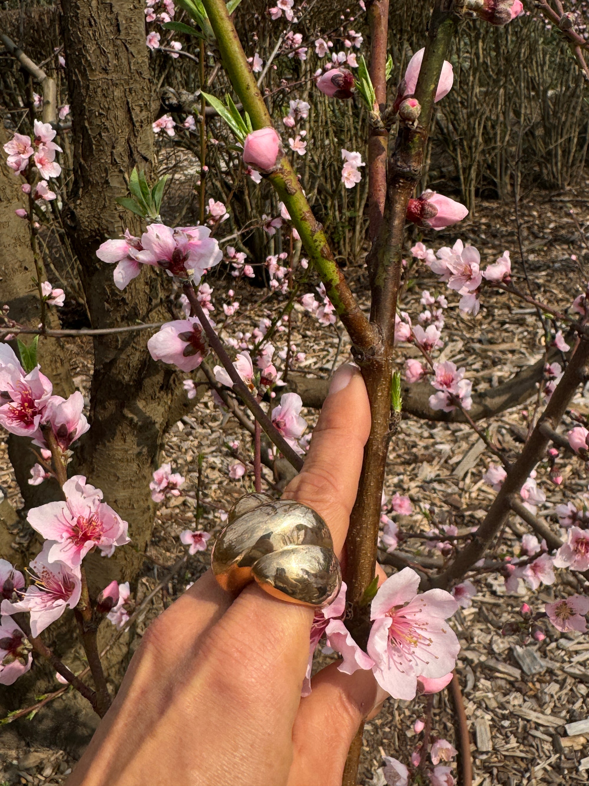 Ice Cream Ring in Bronze
