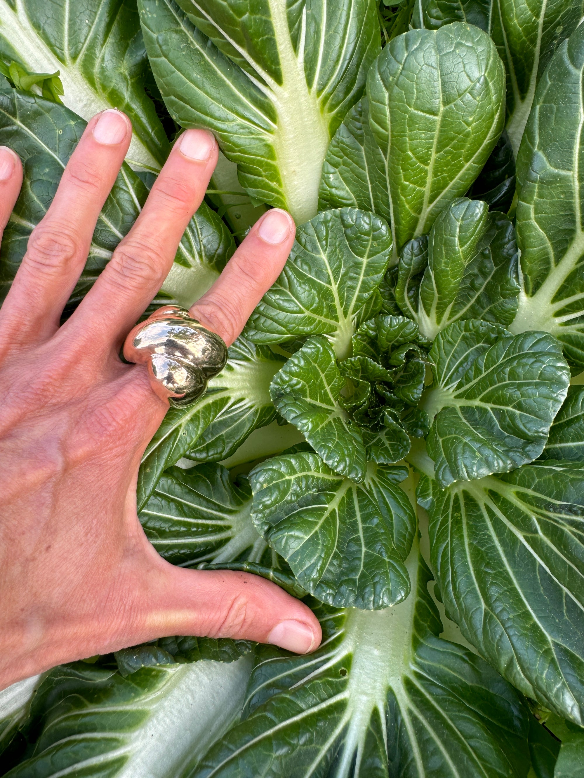 Ice Cream Ring in Bronze