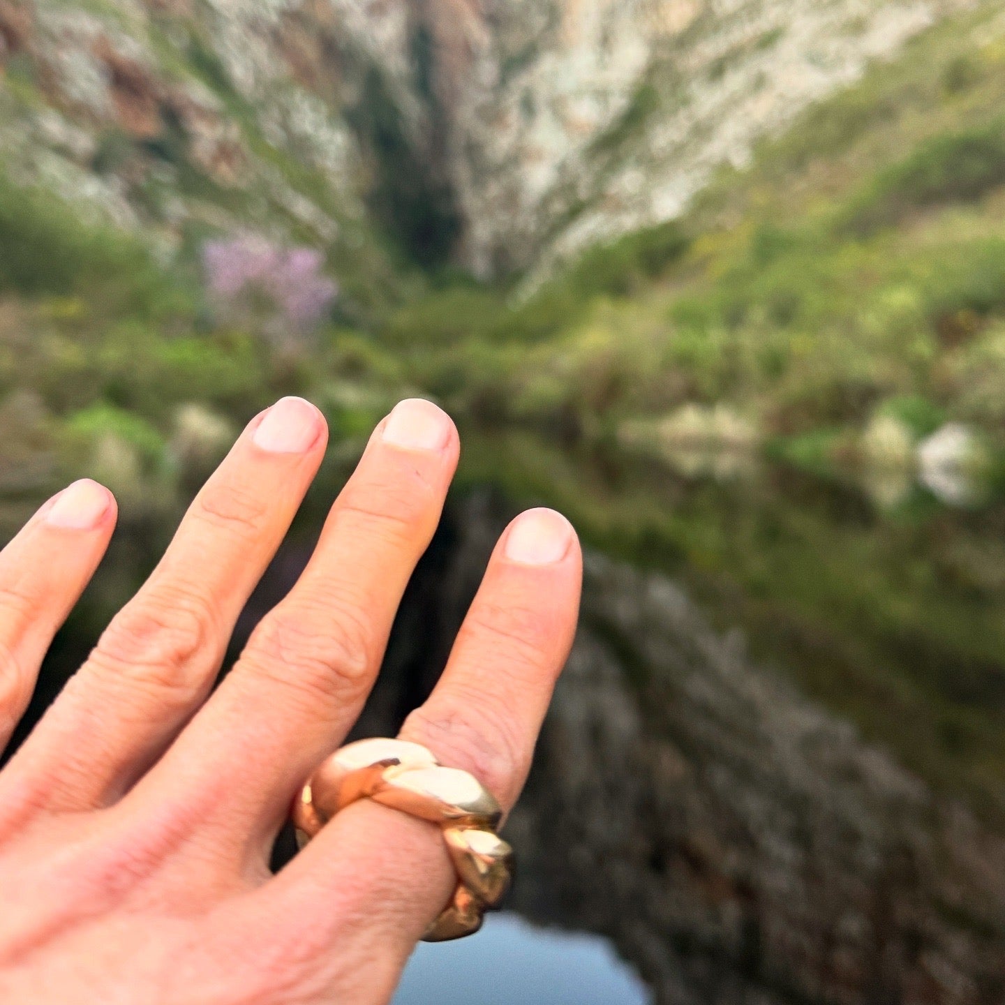 Small Scalloped Ring in Bronze