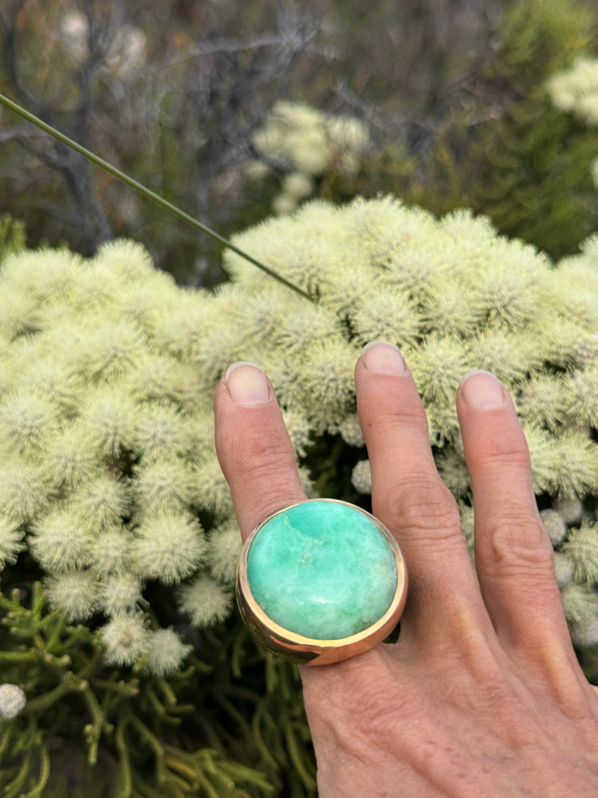 Chrysoprase Round Cut Bronze Ring