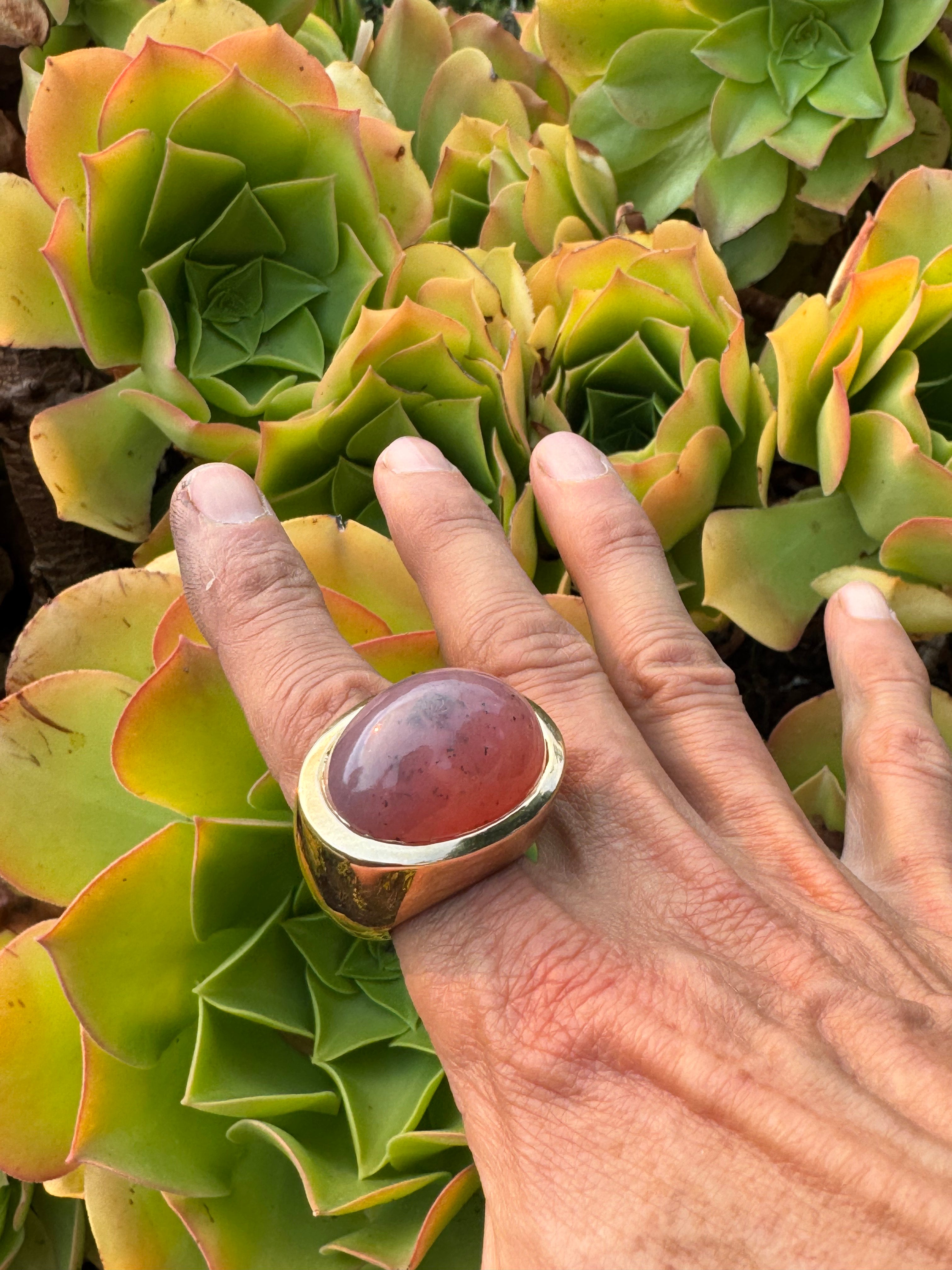 Red Transvaal Jade Ring in Bronze