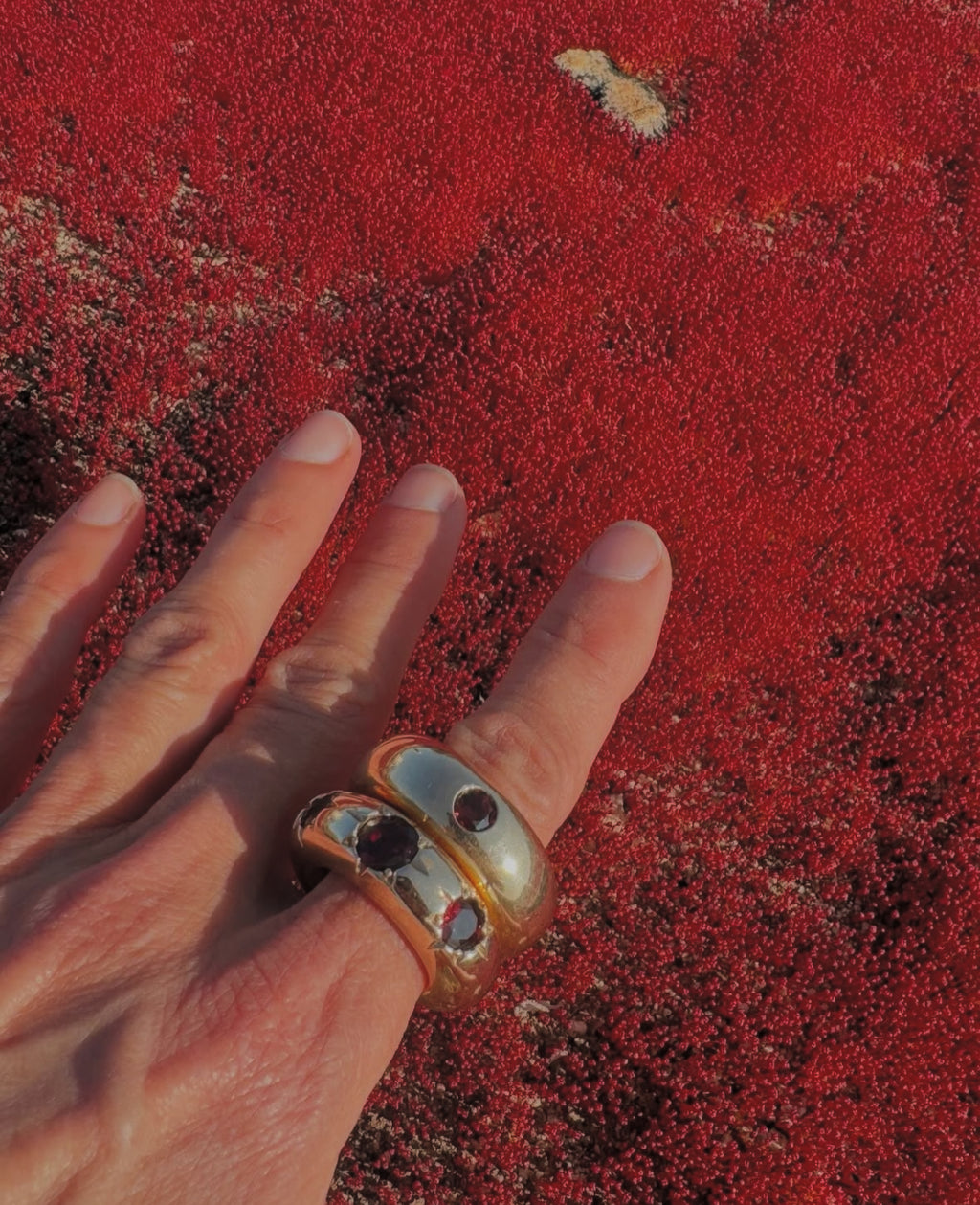 Garnet Star Ring in Bronze