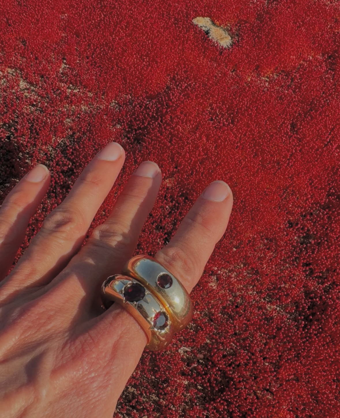 Garnet Star Ring in Bronze